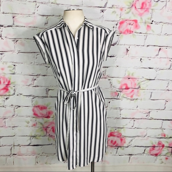 Express Dresses & Skirts - Express collared vertical stripe shirt dress